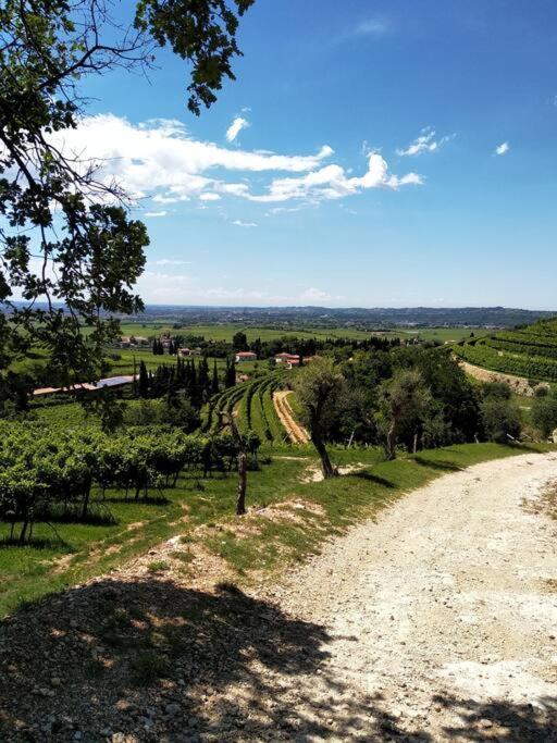 Giardino Del Borgo Appartamento Valpolicella SantʼAmbrogio di Valpolicella Kültér fotó