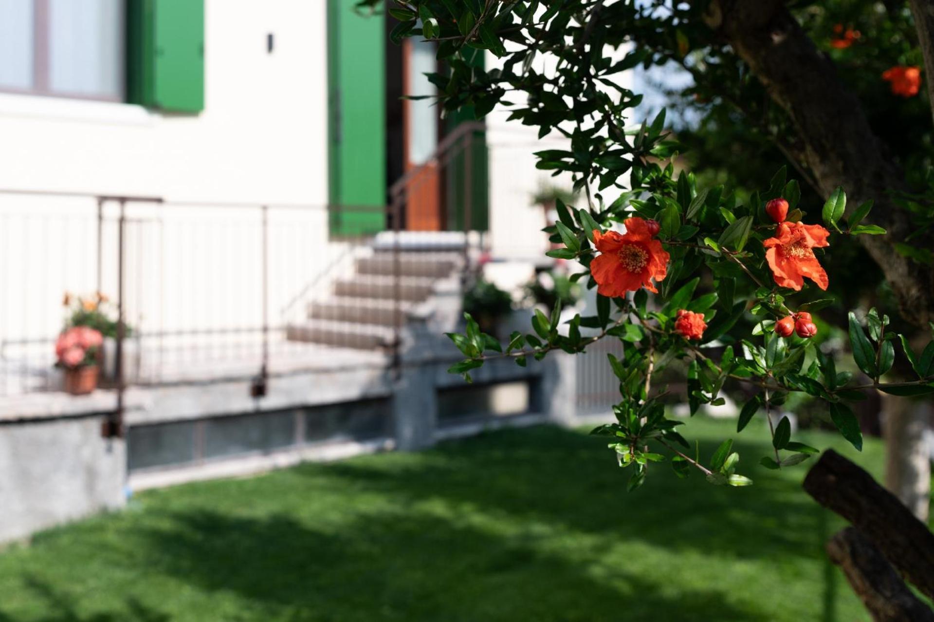 Giardino Del Borgo Appartamento Valpolicella SantʼAmbrogio di Valpolicella Kültér fotó